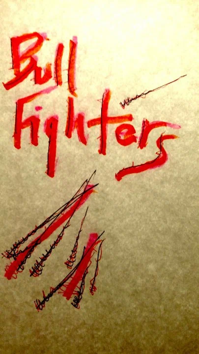 Постер: Bull Fighters
