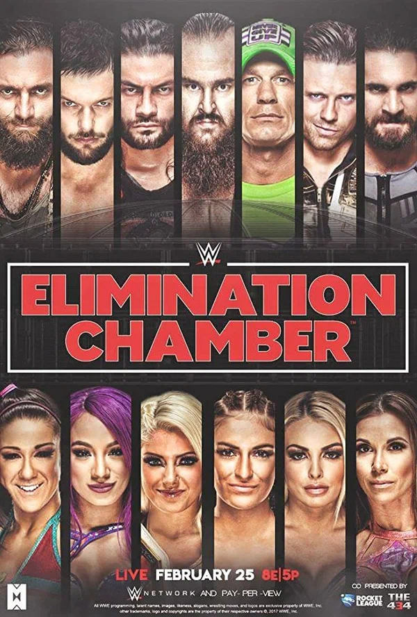 Постер: WWE Камера ликвидации