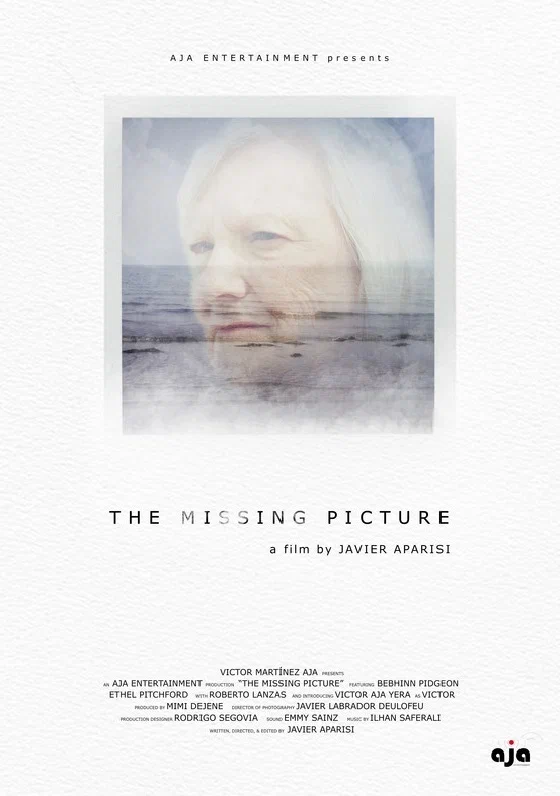 Постер: The Missing Picture