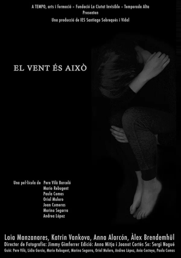 Постер: El vent és això