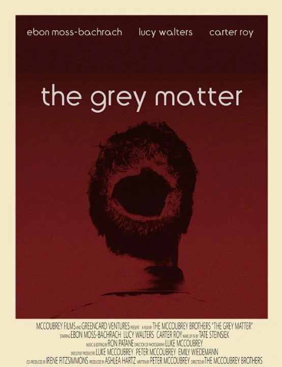 Постер: The Grey Matter