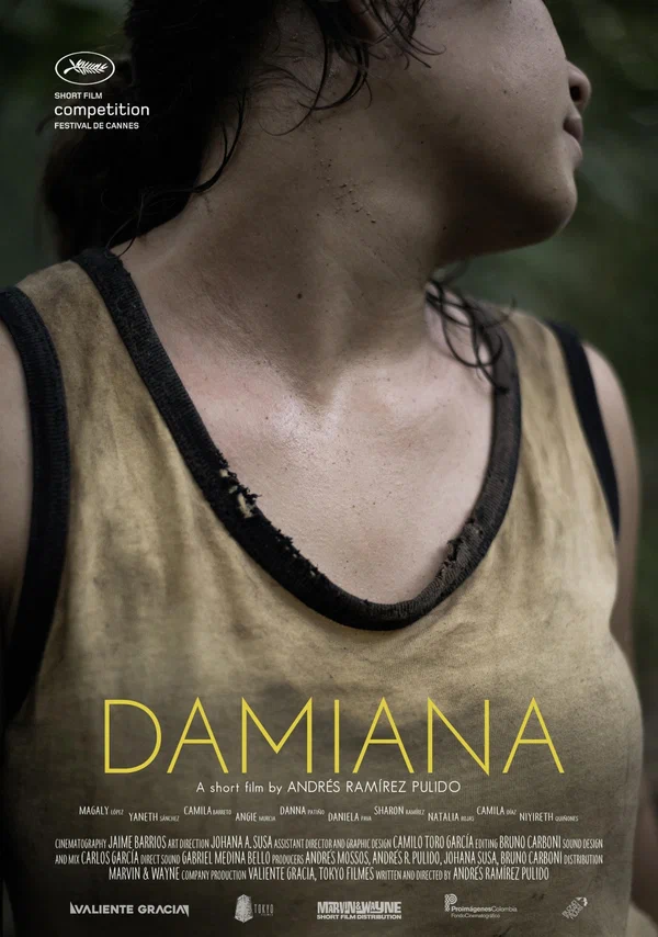 Постер: Дамиана