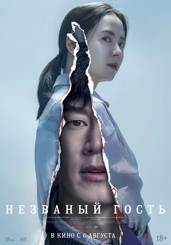 Постер: Незваный гость