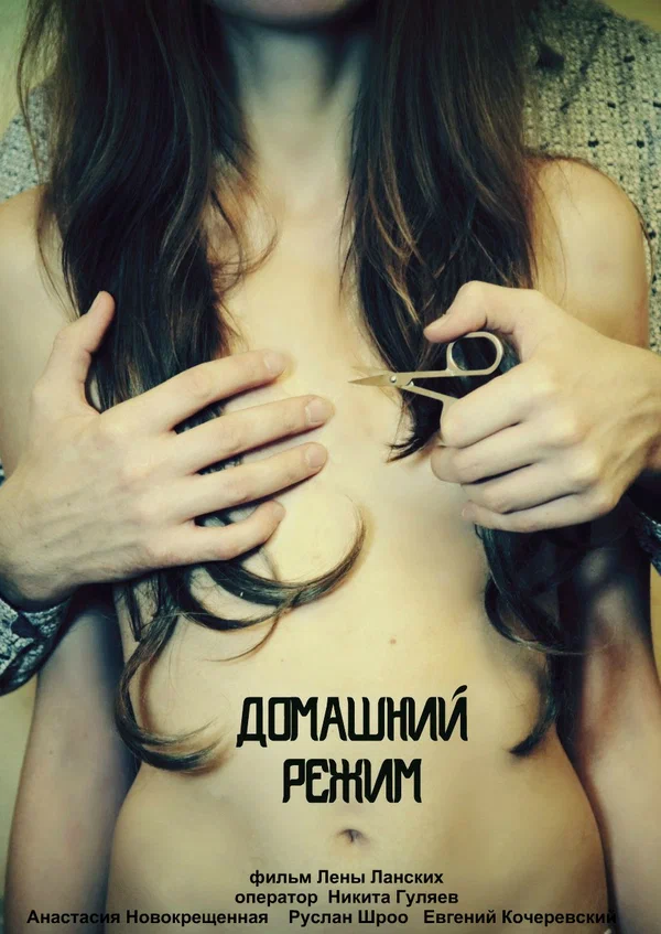 Постер: Домашний режим