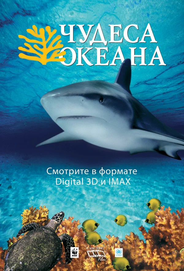 Постер: Чудеса океана 3D