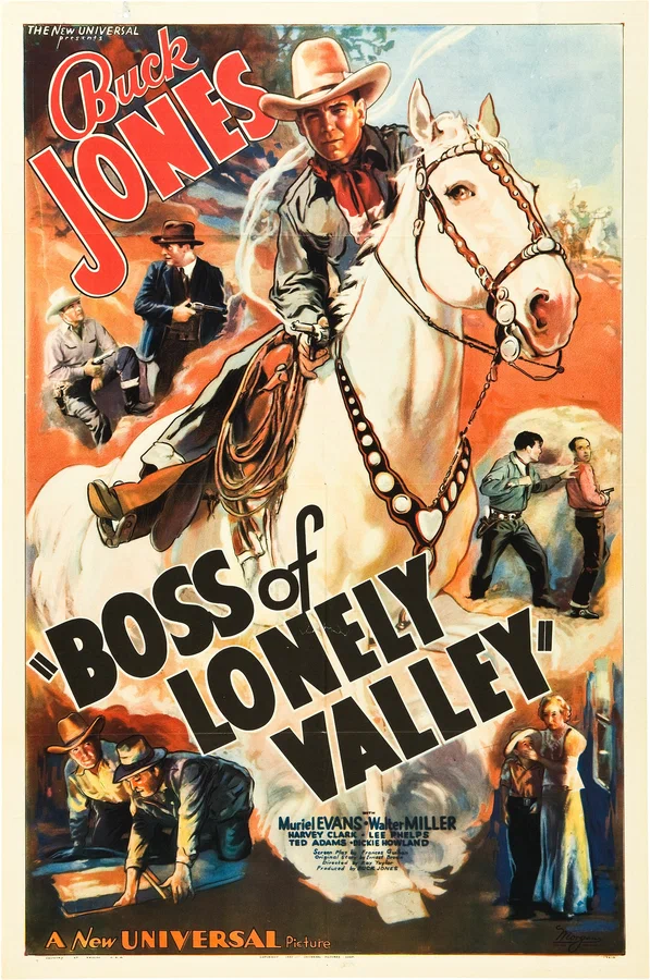 Постер: Boss of Lonely Valley