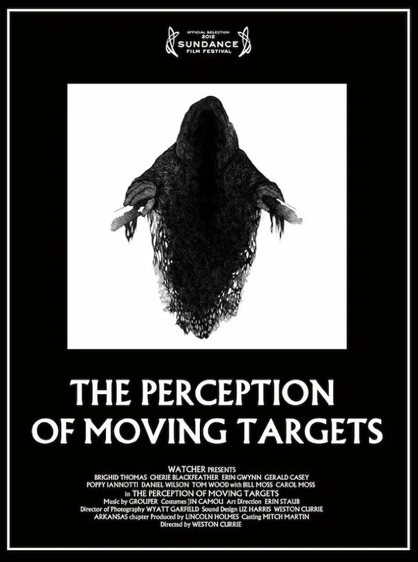 Постер: The Perception of Moving Targets