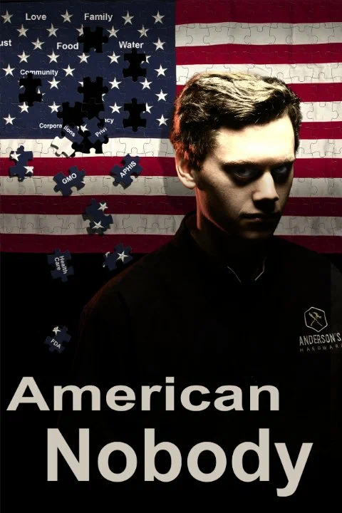 Постер: American Nobody