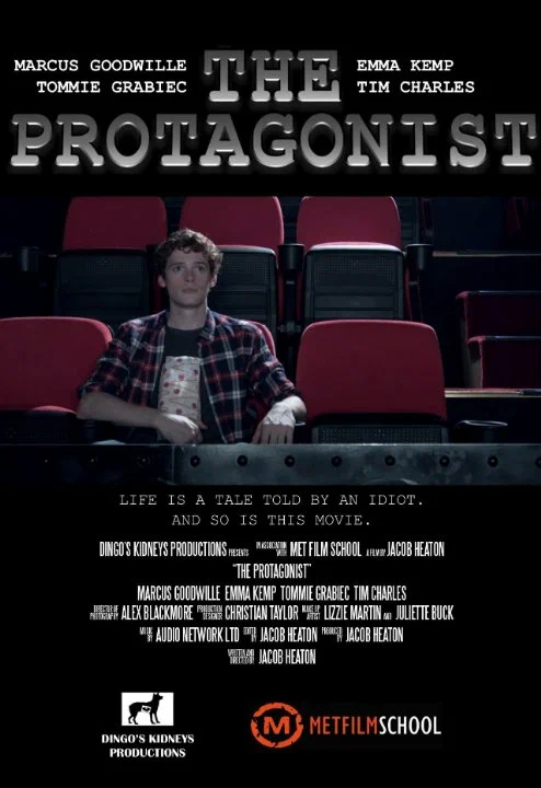 Постер: The Protagonist