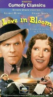 Постер: Love in Bloom