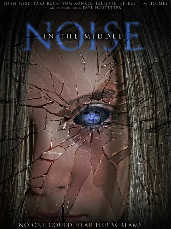 Постер: Noise in the Middle
