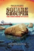 Постер: Square Grouper