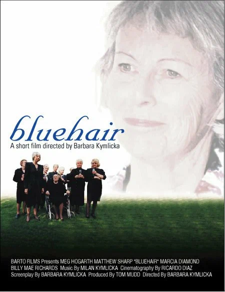 Постер: Bluehair
