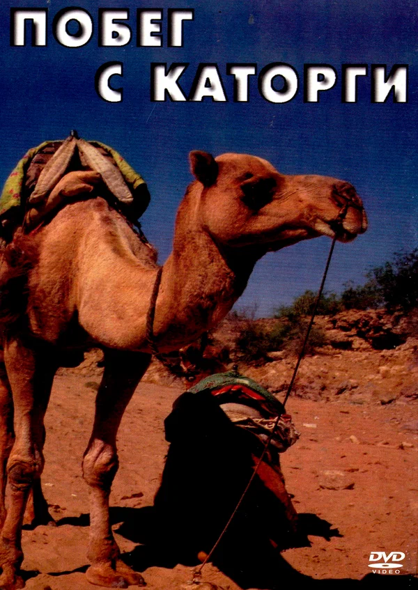 Постер: Побег с каторги