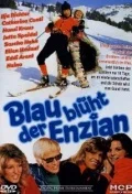 Постер: Blau blüht der Enzian