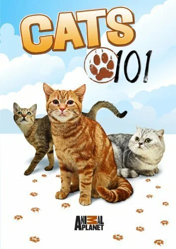 Постер: Энциклопедия кошек