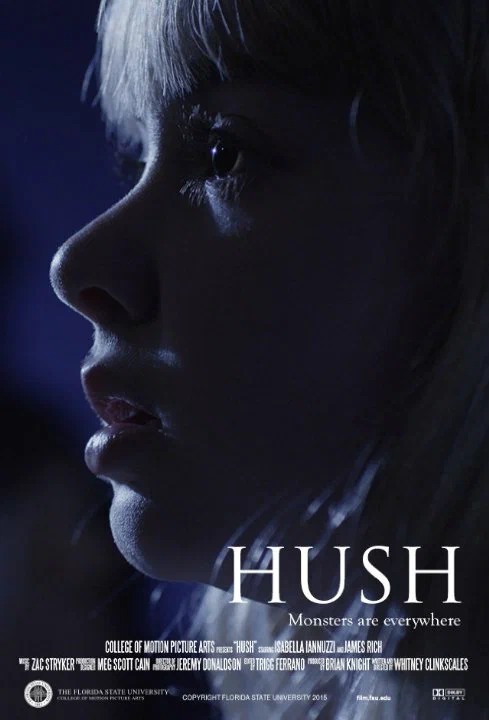 Постер: Hush