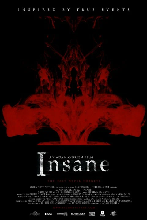 Постер: Insane