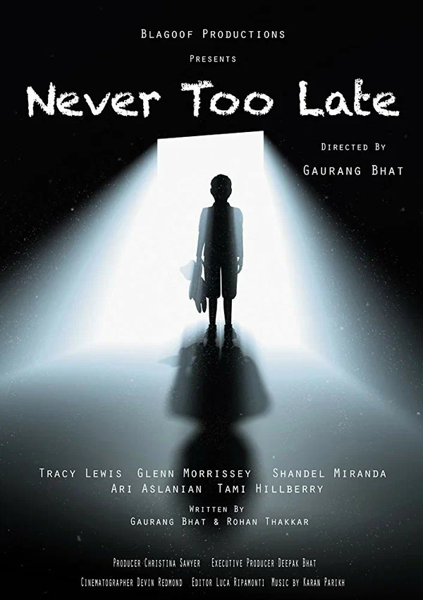 Постер: Never Too Late