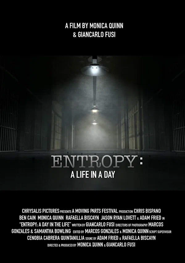 Постер: Entropy: A Day in a Life