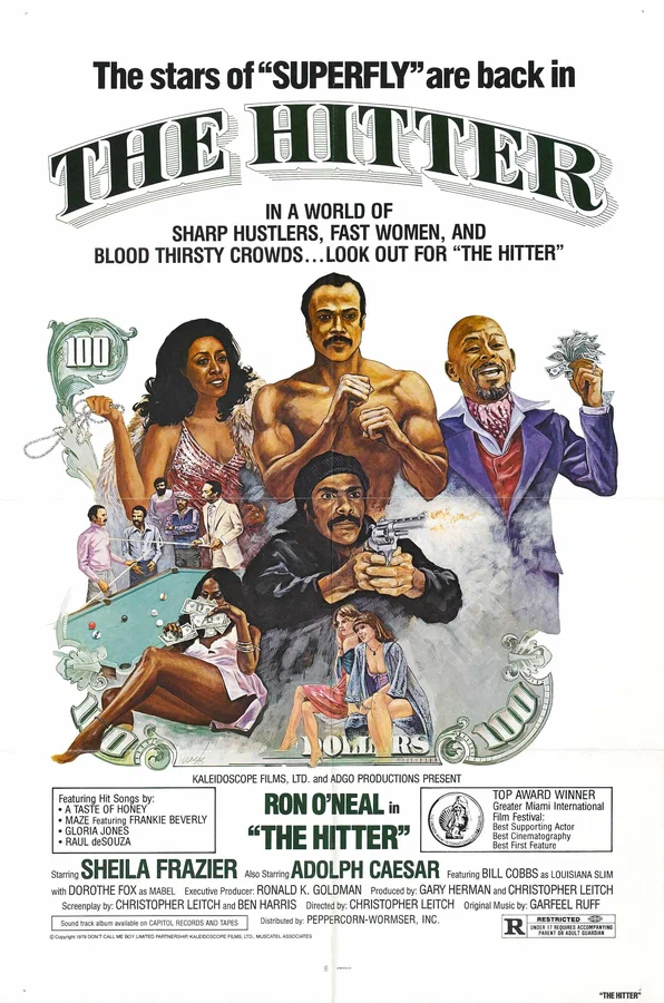 Постер: The Hitter