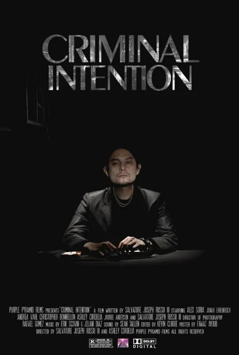 Постер: Criminal Intention