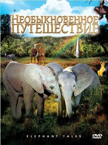 Постер: Необыкновенное путешествие: История про двух слонят