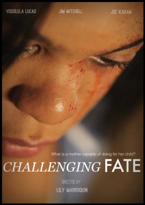 Постер: Challenging Fate