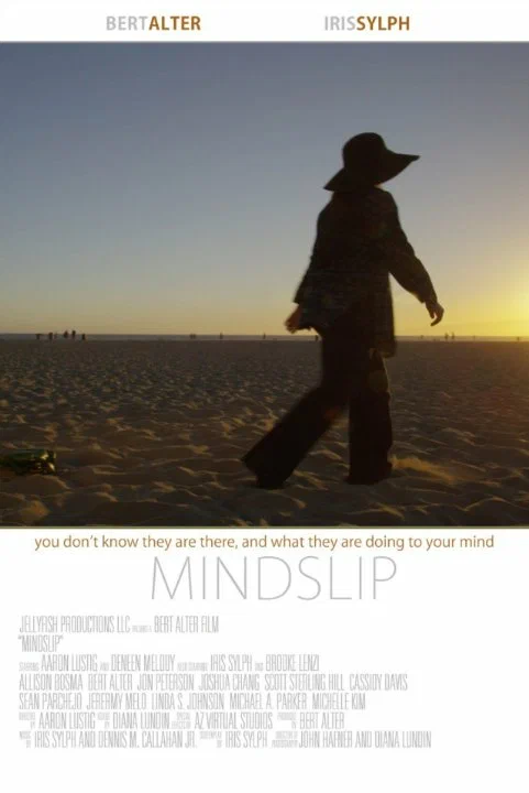 Постер: Mindslip