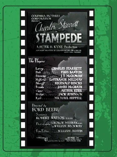 Постер: Stampede
