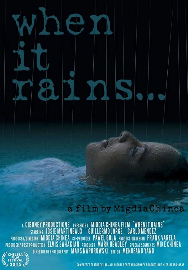 Постер: When It Rains