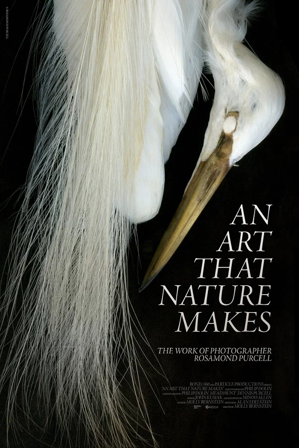Постер: An Art That Nature Makes: The Work of Rosamond Purcell