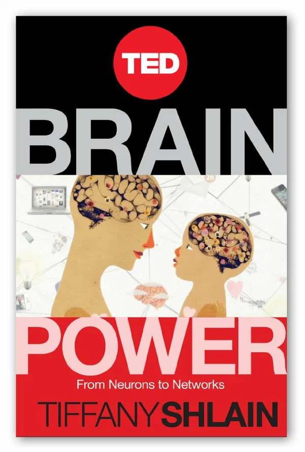 Постер: Brain Power: From Neurons to Networks