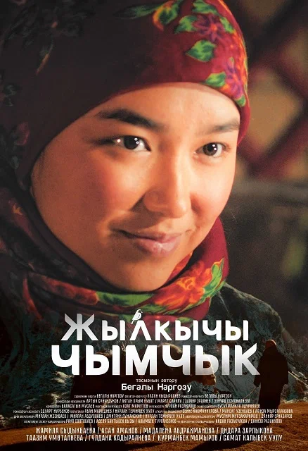 Постер: Горная трясогузка
