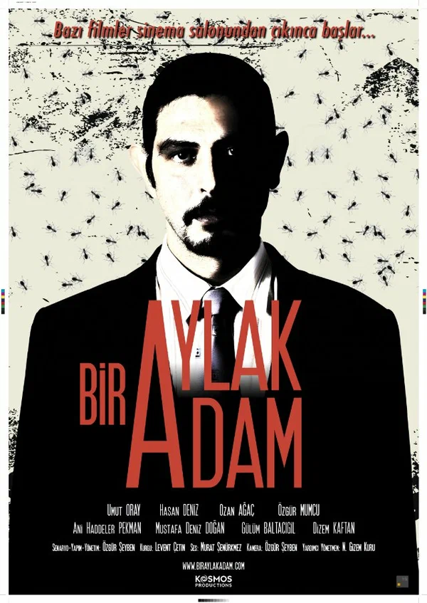 Постер: Bir Aylak Adam