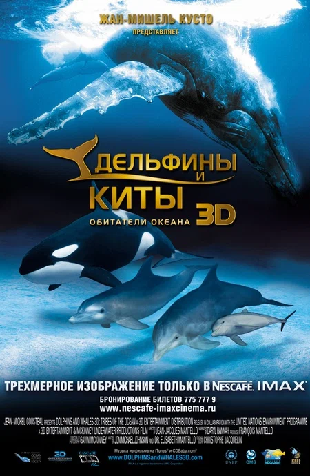 Постер: Дельфины и киты 3D