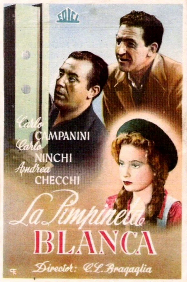 Постер: La primula bianca