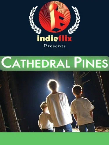 Постер: Cathedral Pines