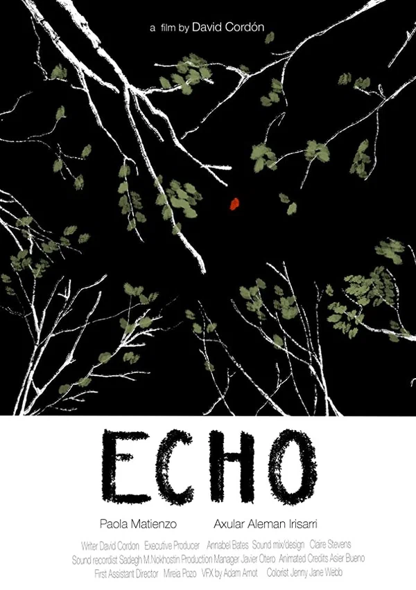 Постер: Echo