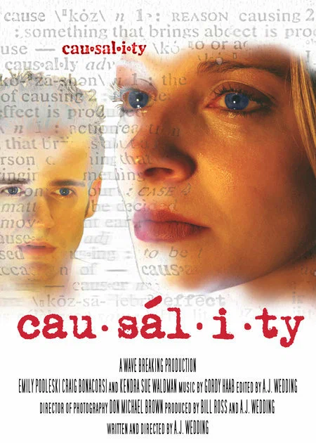 Постер: Causality
