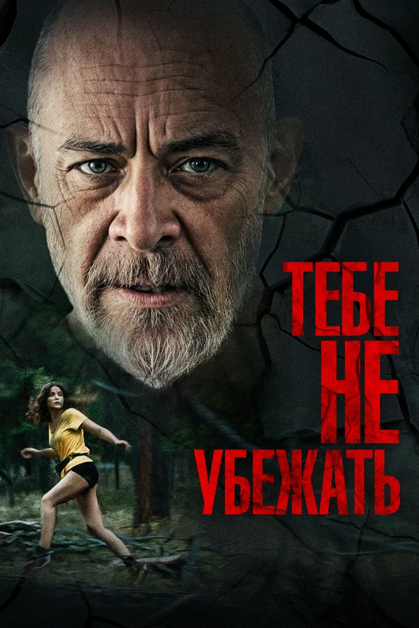 Постер: Тебе не убежать