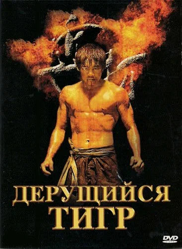 Постер: Дерущийся тигр