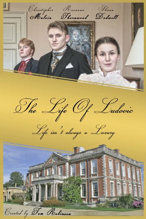 Постер: The Life of Ludovic