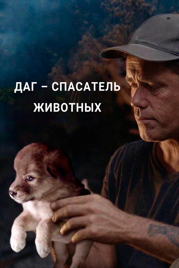 Постер: Даг – спасатель животных