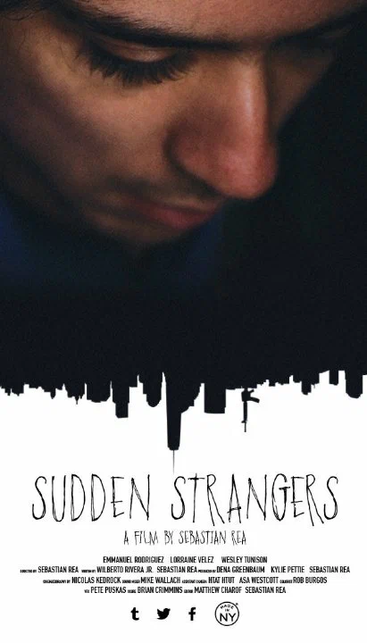 Постер: Sudden Strangers