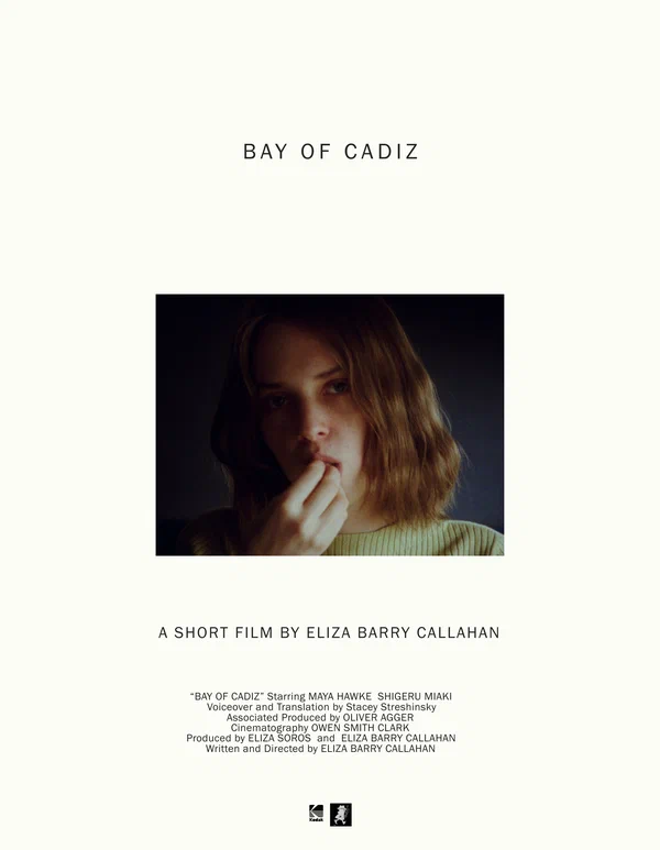 Постер: Bay of Cadiz