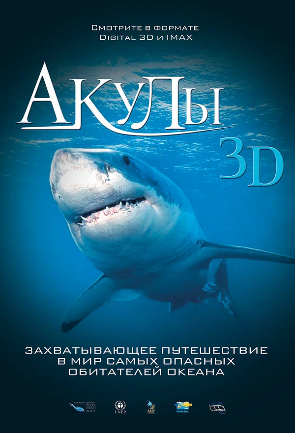 Постер: Акулы 3D