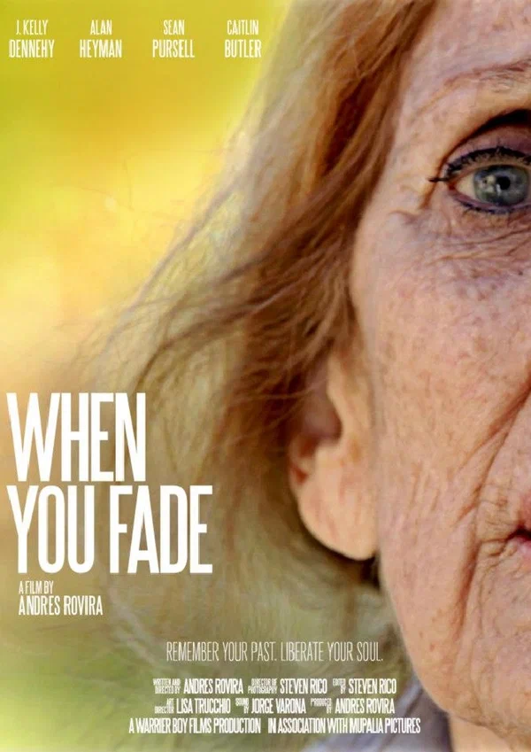 Постер: When You Fade
