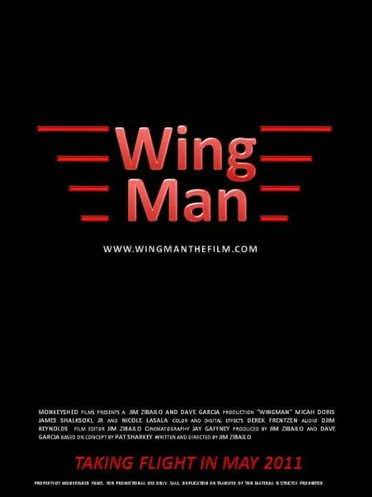 Постер: Wingman
