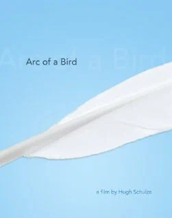 Постер: Arc of a Bird